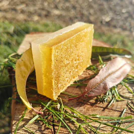 Săpun cu Coajă de Portocală și Eucalipt